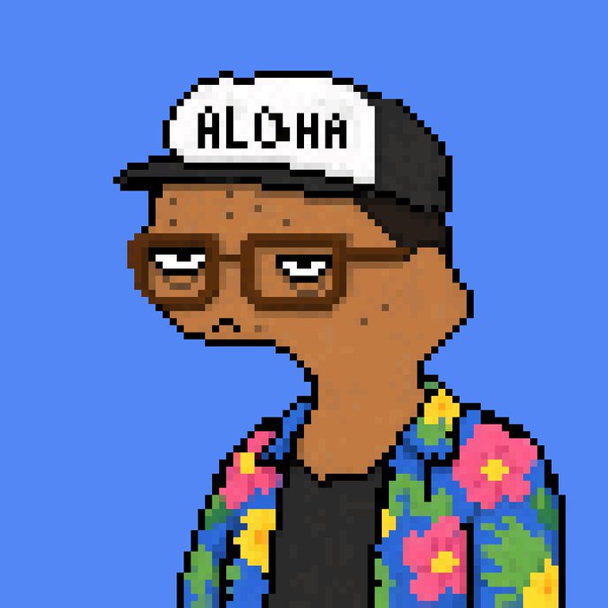Pixel art portrait of a character wearing glasses, an 'ALOHA' cap, and a colorful floral Hawaiian shirt.