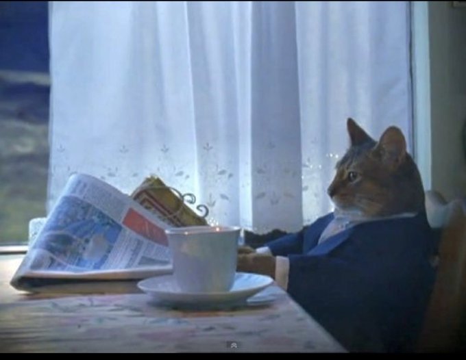 A cat in a blue suit sits at a table reading a newspaper with a coffee cup beside it, mimicking a leisurely businessman. The image humorously illustrates the "comfy with the cat" caption, suggesting a relaxed, content mood while waiting for the "next 100X" in the crypto market.
