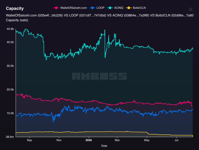 An Amboss capacity chart comparing Lightning Network nodes: WalletOfSatoshi.com, LOOP, ACINQ, and BoltzCLN over time.