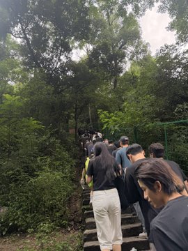 A group of people hike up a forested trail on a stone staircase, appearing as part of the early morning hike activity mentioned in the post. The image shows participants climbing the steps surrounded by lush greenery, capturing the energetic outdoor client activity referenced alongside the OKX World Cup viewing event.