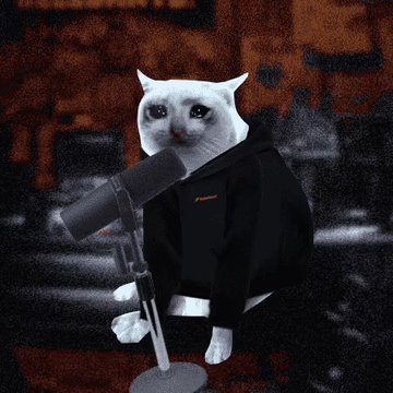An edited image showing a white cat's head on a human body wearing a black hoodie, sitting at a microphone.