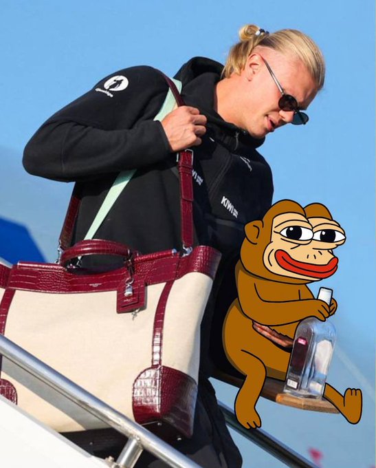 A woman wearing a black jacket and sunglasses is carrying a large maroon and white handbag while descending steps. A cartoon monkey character is digitally added to the image, holding a water bottle and sitting on the handbag.
