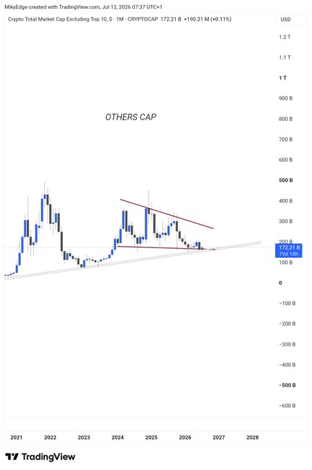 A TradingView chart of "Crypto Total Market Cap Excluding Top 10" (CRYPTOCAP) shows OTHERS cap hovering around 172.21B (+0.11%) in a long-term descending wedge pattern, with price sitting at a critical multi-year support level around the 100-150B zone that aligns with the post's claim that this is a prime buying opportunity for strong altcoins.