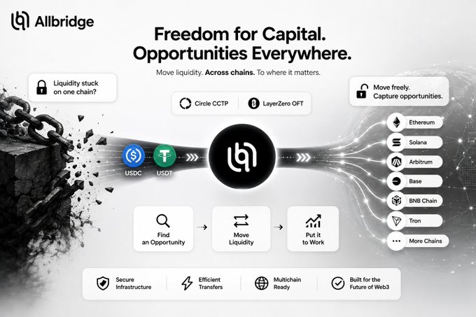 An Allbridge promotional graphic with the tagline 'Freedom for Capital. Opportunities Everywhere.' illustrating cross-chain liquidity movement between USDC, USDT, and multiple blockchains including Ethereum, Solana, Arbitrum, Base, BNB Chain, and Tron.