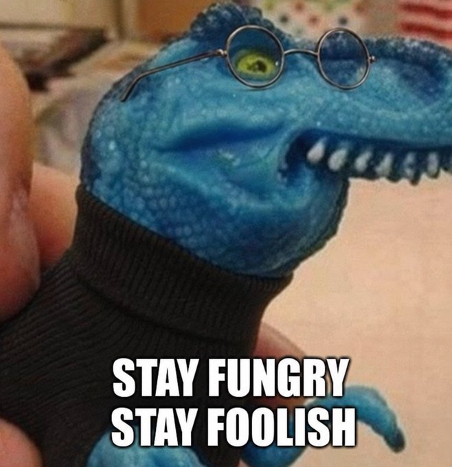 A blue dinosaur puppet wearing glasses and a black sweater is held in someone's hand, with the text 'STAY FUNGRY STAY FOOLISH' displayed at the bottom.