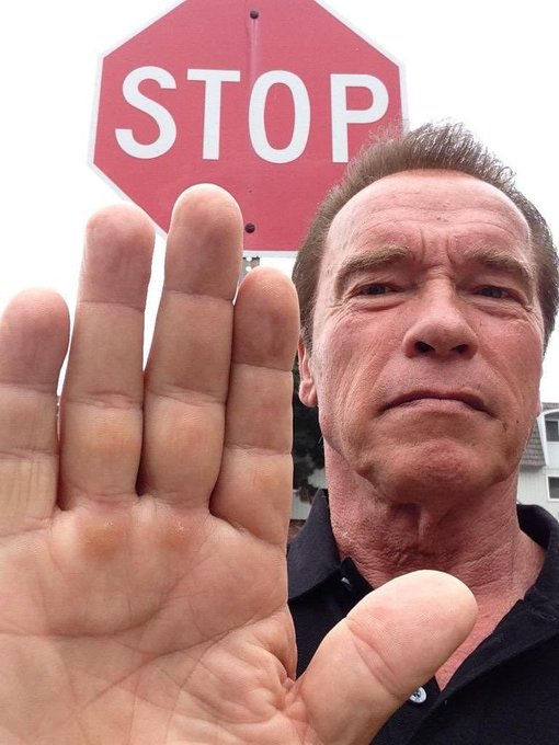 Arnold Schwarzenegger holds up a hand in a "stop" gesture beneath a STOP sign. The image visually reinforces the post's message "stop fading me" — a plea directed at the community, emphasizing the call to halt criticism of the listed meme coins showing significant multipliers.
