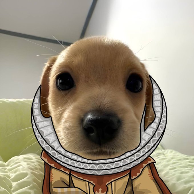 A close-up photo of an adorable tan puppy has been digitally edited to wear an anime-style collar and yellow/brown outfit, resembling a character costume.