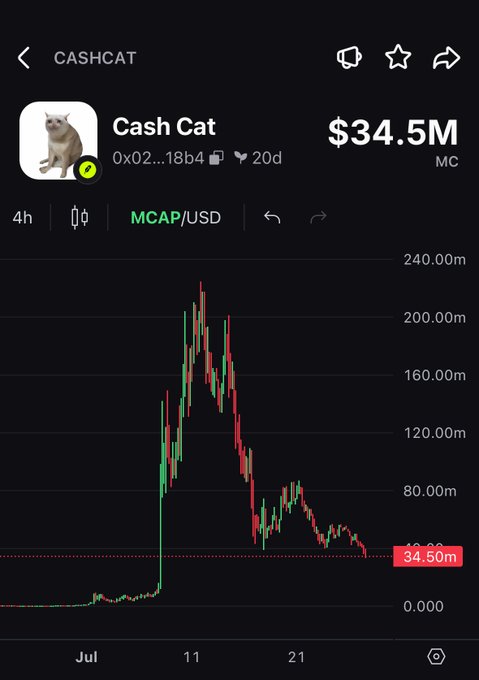 A chart of "Cash Cat" (CASHCAT) meme coin showing its market cap peaking above $200M before crashing down to $34.5M, illustrating the sharp decline referenced in the post questioning whether this "next Pepe" token can recover from its steep drop.
