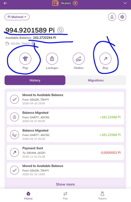 The image shows a Pi cryptocurrency wallet interface displaying a balance of 994.9201589 Pi (with 242.2720294 Pi available) and features four main action buttons—Pay, Lockups, Stakes, and Buy—which directly illustrate the wallet's payment, locking, staking, and purchasing capabilities mentioned in the post.