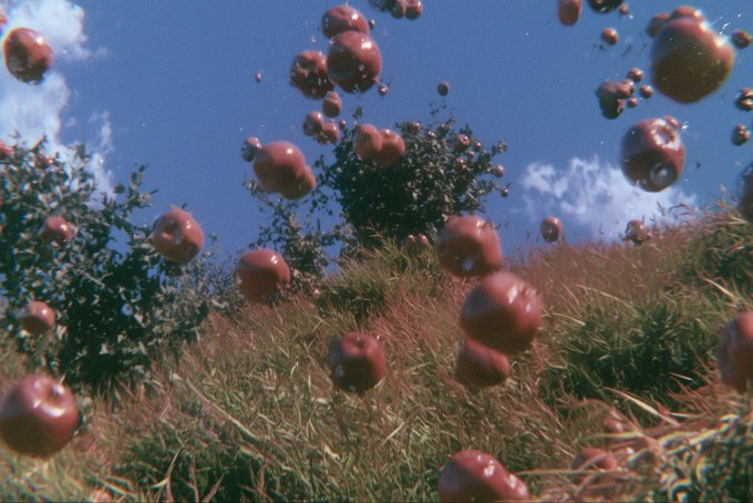 Floating crimson fruits drift through a grassy hillside under a blue sky, evoking a surreal, dreamlike atmosphere that complements the celebratory tone of the auction's $111 winning bid.