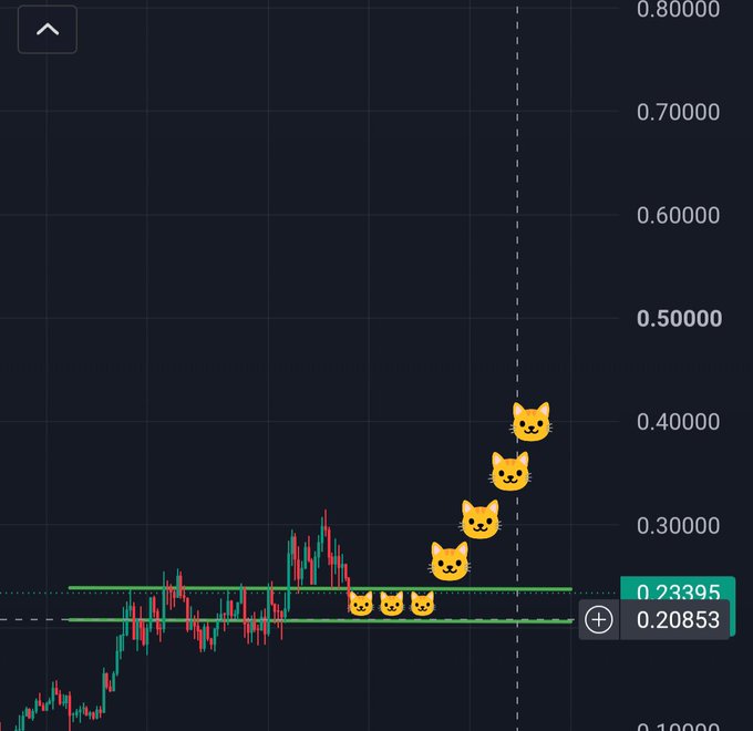 A dark-themed cryptocurrency price chart with several cartoon cat emojis marking an upward price trend, showing values around 0.20853 and 0.23395 on the right axis.