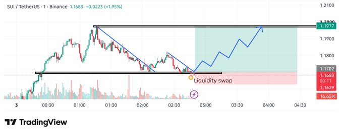 A TradingView chart of SUI/TetherUS on Binance showing a 1.95% increase to 1.1977, featuring a descending triangle pattern and a projected upward move with a "Liquidity swap" annotation.