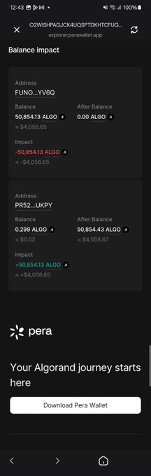 A mobile screenshot of the Pera Wallet app showing a "Balance Impact" transaction on perawallet.app for address OZWISHFPAQJCX4LQSPTDKHTCFUG, with balances of 50.854413 ALGO and 0.299 ALGO impacted by -50,854.13 and +50,854.13 respectively, and a banner reading "Your Algorand journey starts here."