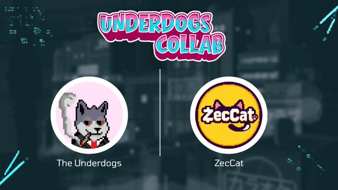 Promotional graphic for 'UNDERDOGS COLLAB' featuring 'The Underdogs' (husky avatar) and 'ZecCat' (cat logo) on a dark city background.
