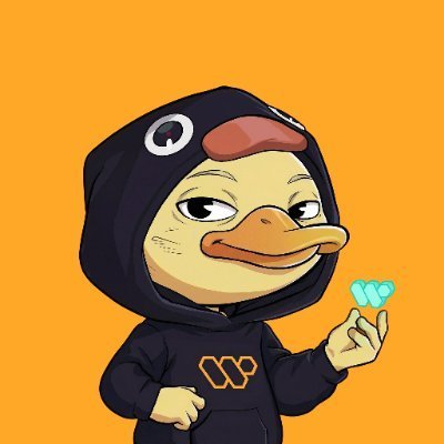The image features a cartoon duck wearing a hoodie with the word "W" printed on it. The duck has a big smile on its face as if posing for a picture or giving a speech, making it appear friendly and approachable. The background is orange, which contrasts nicely with the black hoodie of the cartoon duck. There are no other objects in the image besides the cartoon duck and the orange background.