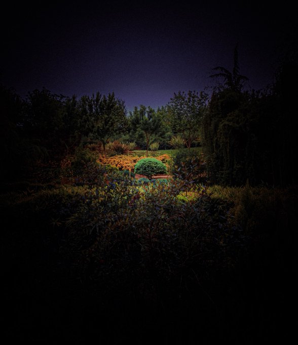 A dimly lit garden glows under a dark night sky, with warm light illuminating a cluster of colorful flowers and shrubs in the center while surrounding foliage fades into shadow—visually echoing the caption's theme of "light waiting" beyond darkness.