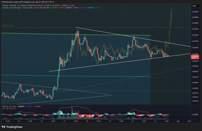 A TradingView 1-hour candlestick chart for VeChain (VET/USDT) on Binance showing a symmetrical triangle pattern with MACD indicator below.