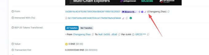 A blockchain explorer screenshot showing a BEP-20 transaction from a Binance address to another address, with a red arrow pointing to the name "Changpeng Zhao".
