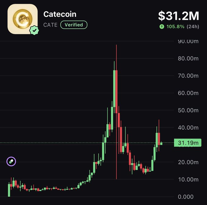 A candlestick chart for Catecoin (CATE) shows a market cap of $31.2M with a 105.8% 24-hour gain, highlighted at the 31.19m level after a dramatic peak near $90M, visually supporting the post's bullish sentiment about $CATE and the "CATSZN" movement.