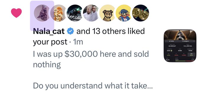 A social media notification shows Nala_cat (verified) and 13 others liked a post that reads: "I was up $30,000 here and sold nothing" with a preview of crypto trading charts showing XLM and other coins.