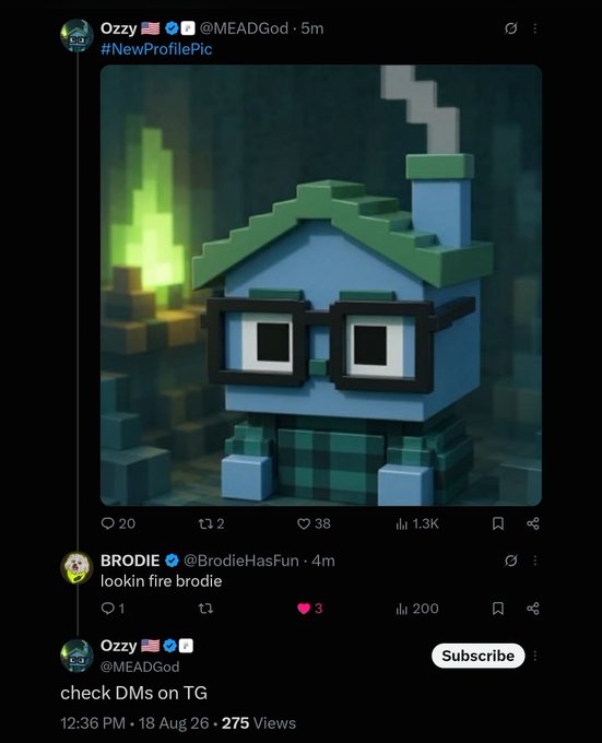 A Twitter/X post by @MEADGod features a 3D pixelated blue house character with black square glasses as the new profile pic, with a reply from @BrodieHasFun saying "lookin fire brodie" and the original poster responding "check DMs on TG." The whimsical house avatar ties to the $BRODIE meme token reference in the caption, with the character serving as a quirky profile identity for the crypto community.