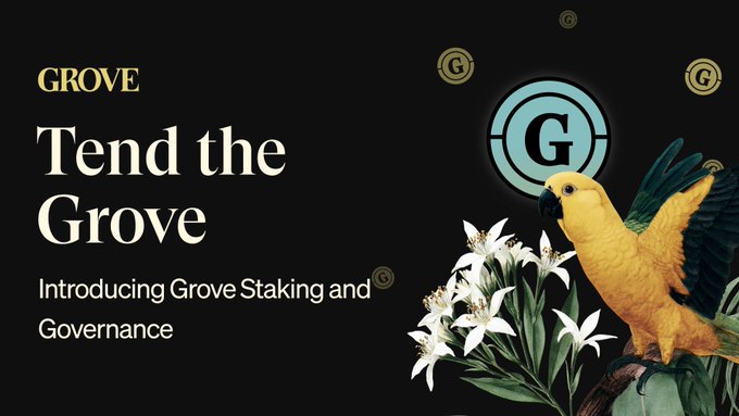 A promotional banner for Grove featuring a yellow parrot perched among white flowers alongside a large "G" logo on a black background, with the text "GROVE: Tend the Grove — Introducing Grove Staking and Governance."