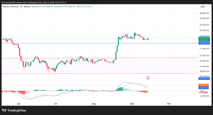 A TradingView chart for 'Phemex0969 created with TradingView.com' showing Bitcoin/TetherUS (BTCUSDT) on a daily timeframe, with the current price at 77,786.36 USDT, displaying a recent sharp price surge from around $65,000 to approximately $78,000.