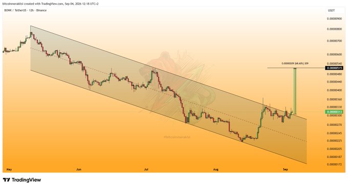 A 12-hour candlestick chart of BONK/USDT on Binance from May to September 2024 shows the token trading within a descending channel, with a projected 84.42% potential gain (marked "0.0000395") indicated by an upward green arrow from the current price near 0.00003025, suggesting an imminent breakout.