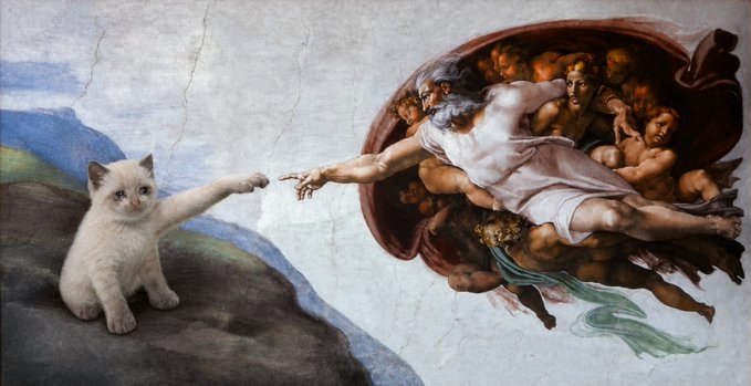 A humorous edit of Michelangelo's 'Creation of Adam' fresco where the outstretched hand of God is replaced by a small white kitten reaching its paw toward Adam's finger.