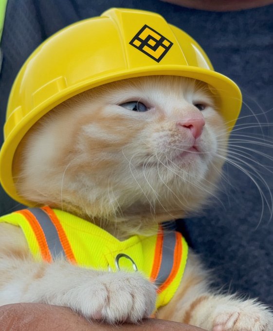 Close-up photograph of an orange cat wearing a yellow construction hard hat with a black symbol and a yellow safety vest, looking off to the side with half-closed eyes.