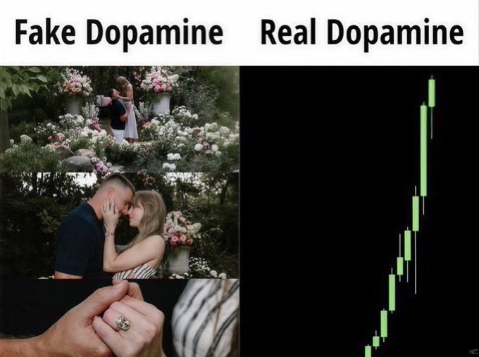 A meme comparing 'Fake Dopamine' (romantic photos of a couple in a rose garden) with 'Real Dopamine' (a green ascending candlestick stock chart).
