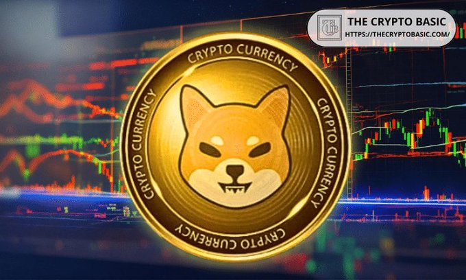 A gold Shiba Inu 'Crypto Currency' coin floats in front of stock chart graphs, with 'THE CRYPTO BASIC' logo and 'HTTPS://THECRYPTOBASIC.COM/' visible in the top right corner.