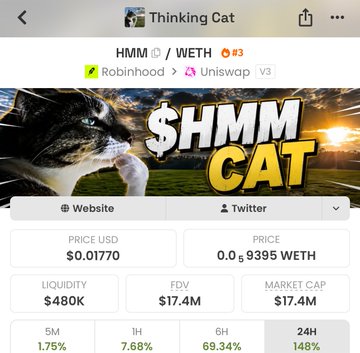 A screenshot of the $HMM/WETH token page on DexScreener shows "Thinking Cat" priced at $0.01770 with a $17.4M market cap and $480K liquidity, visualizing the post's celebration of $Hmm reaching a $20M market cap.