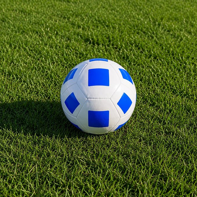 A blue and white soccer ball resting on a field of green grass.