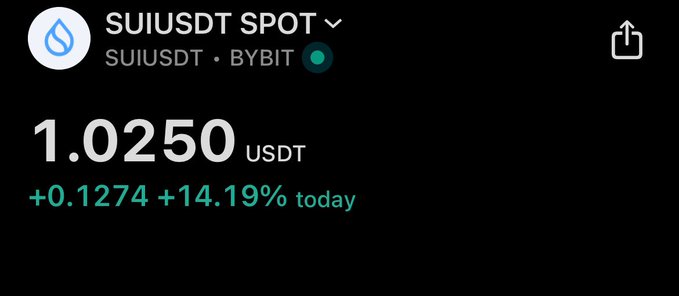 A cryptocurrency price display showing 'SUIUSDT SPOT' on Bybit trading at 1.0250 USDT, up +0.1274 or +14.19% for the day.