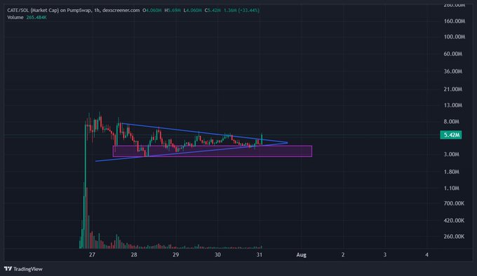 The image displays a CATE/USDT candlestick chart on a 1-hour timeframe from PumpSwap, showing price action consolidating between approximately 3.00M and 5.00M with a current value of 5.42M (-12.44%).

The symmetric triangle pattern and declining volume visible in the chart visually reinforce the post's "sleeping giant" thesis, suggesting CATE is compressing before a potential breakout as the technical setup coaxes among consolidating holders.