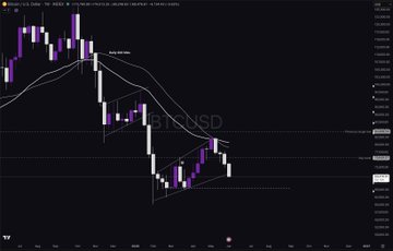 The image shows a line chart displaying the progression of Bitcoin's price over time. The line graph depicts the cryptocurrency's fluctuations with purple and white lines representing different days or periods. The chart also includes a heat map showing Bitcoin's progress at various points in time, providing additional information about its movement.