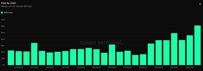 The image is a bar chart titled "Fees by chain" showing weekly sum data for BNB Chain over the last 180 days, with weekly fees rising from around $1.5-2M earlier in the period to over $6M by the latest week (08/31/26), visually supporting the post's claim that BNB Chain fees are "going vertical" amid surging onchain activity.