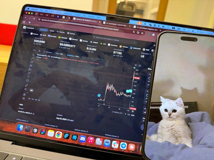 A laptop displays a $BASECAT memecoin chart on Dexscreener showing a $776K market cap and $26.04M liquidity next to a phone featuring a photo of a white British Shorthair kitten, humorously illustrating how the token's price spike mirrors the cat's silhouette—including a "pump" that distorts the ear shape.