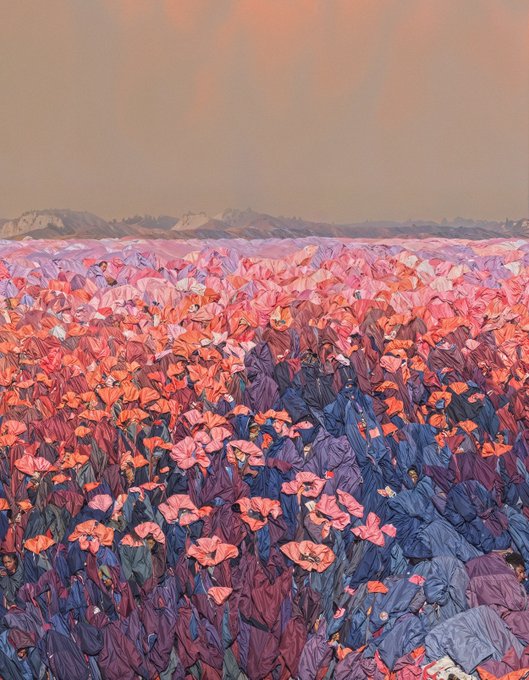 A digital painting showing a vast field of pink and purple tarps or fabric coverings stretching toward a distant mountainous horizon under a soft peach-colored sky.