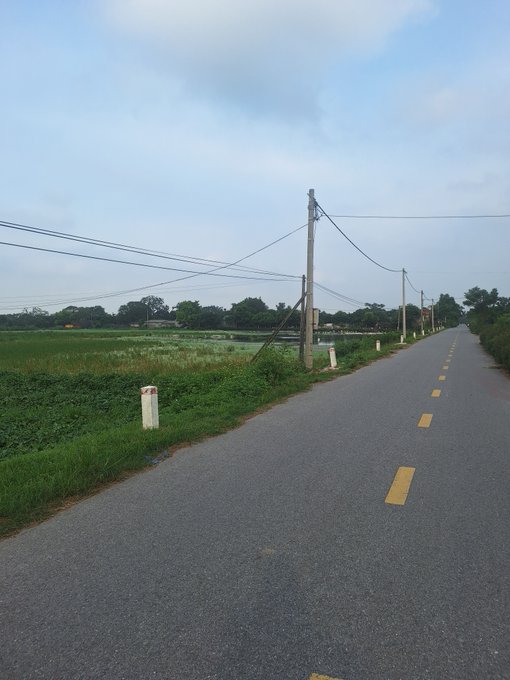 A quiet rural road stretches into the distance, lined with utility poles and bordered by lush green fields, including what appears to be a flooded rice paddy on the left.

The post "GM cả nhà!" (Good morning, everyone!) suggests a peaceful morning greeting shared alongside this serene countryside scene, capturing the calm atmosphere of a typical day in a rural area.