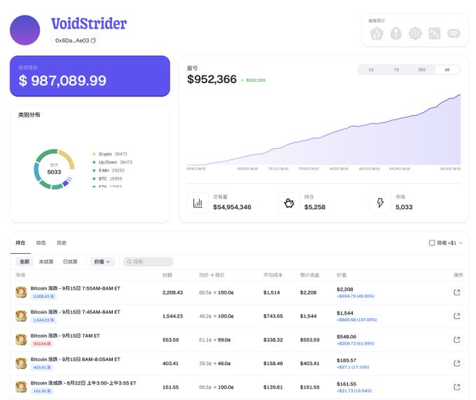 A financial dashboard titled 'VoidStrider' shows a market value of $987,089.99, a chart with a value of $952,366, and a portfolio breakdown featuring Crypto, USDown, RARe, BTC, and ETH.