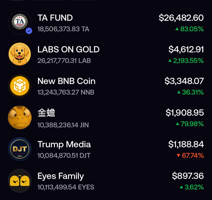 A cryptocurrency portfolio screen displays various tokens including TA FUND ($26,482.60, +83.05%), LABS ON GOLD ($4,612.91, +2,193.55%), New BNB Coin ($3,348.07, +36.31%), 金蟾 ($1,908.95, +79.98%), Trump Media ($1,188.84, -67.74%), and Eyes Family ($897.36, +3.62%).