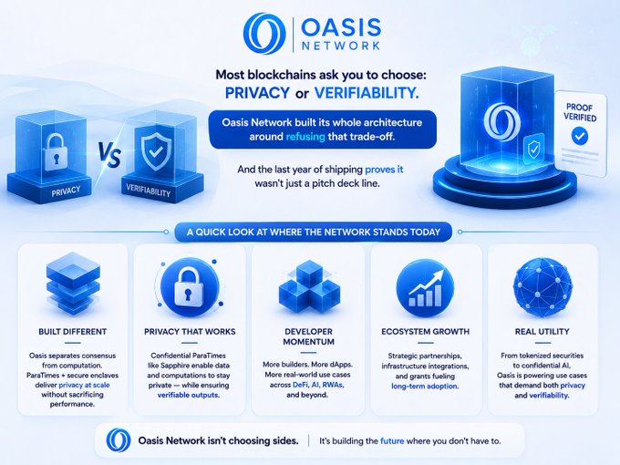 An infographic for "OASIS NETWORK" highlighting their blockchain architecture that combines privacy and verifiability, featuring sections on "BUILT DIFFERENT," "PRIVACY THAT WORKS," "DEVELOPER MOMENTUM," "ECOSYSTEM GROWTH," and "REAL UTILITY."