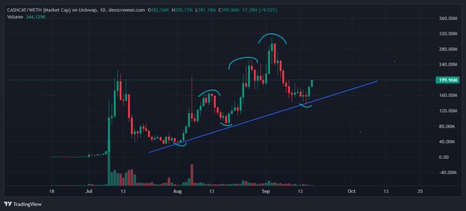 A TradingView candlestick chart for CASHCAT (CATI) on Uniswap, showing price movement from July to September with a blue uptrend line and teal annotations highlighting chart patterns.