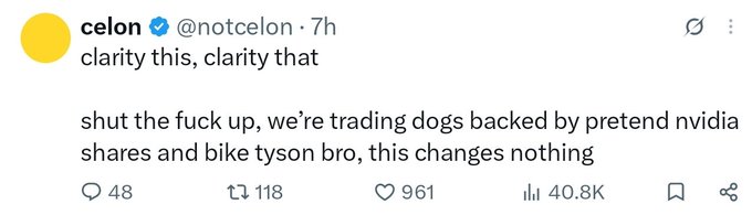 A tweet from user 'celon' (@notcelon) reading: 'clarity this, clarity that - shut the fuck up, we're trading dogs backed by pretend nvidia shares and bike tyson bro, this changes nothing' with 40.8K views.