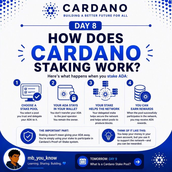 An educational infographic titled 'CARDANO - DAY 8: HOW DOES CARDANO STAKING WORK?' explaining the 4-step staking process with icons, and a teaser for 'TOMORROW: DAY 9: What is a Cardano Stake Pool?'.