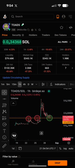 The image shows a cryptocurrency trading screen for the token TOADS/SOL on the Birdeye platform, displaying a market cap of $343.1K, a price of 0.034368 SOL (down 4.23%), and a 1-hour price chart with notable red and green circle annotations. The post "TA on a $300k marketcap lol" humorously mocks the act of performing technical analysis on a token with a relatively small $343.1K market cap, emphasizing how meaningless chart patterns (like the highlighted ones) are for such a low-cap asset.
