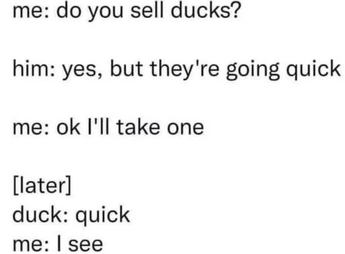 A text-based joke reading: 'me: do you sell ducks? him: yes, but they're going quick me: ok I'll take one [later] duck: quick me: I see'.