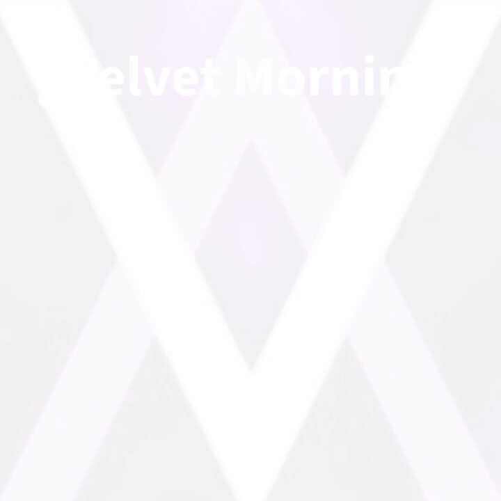 The image features a white background with an x shape that reads "velvet morning" written above it. The word "gVelvet Morning" is also present, but its meaning is unclear without additional context.